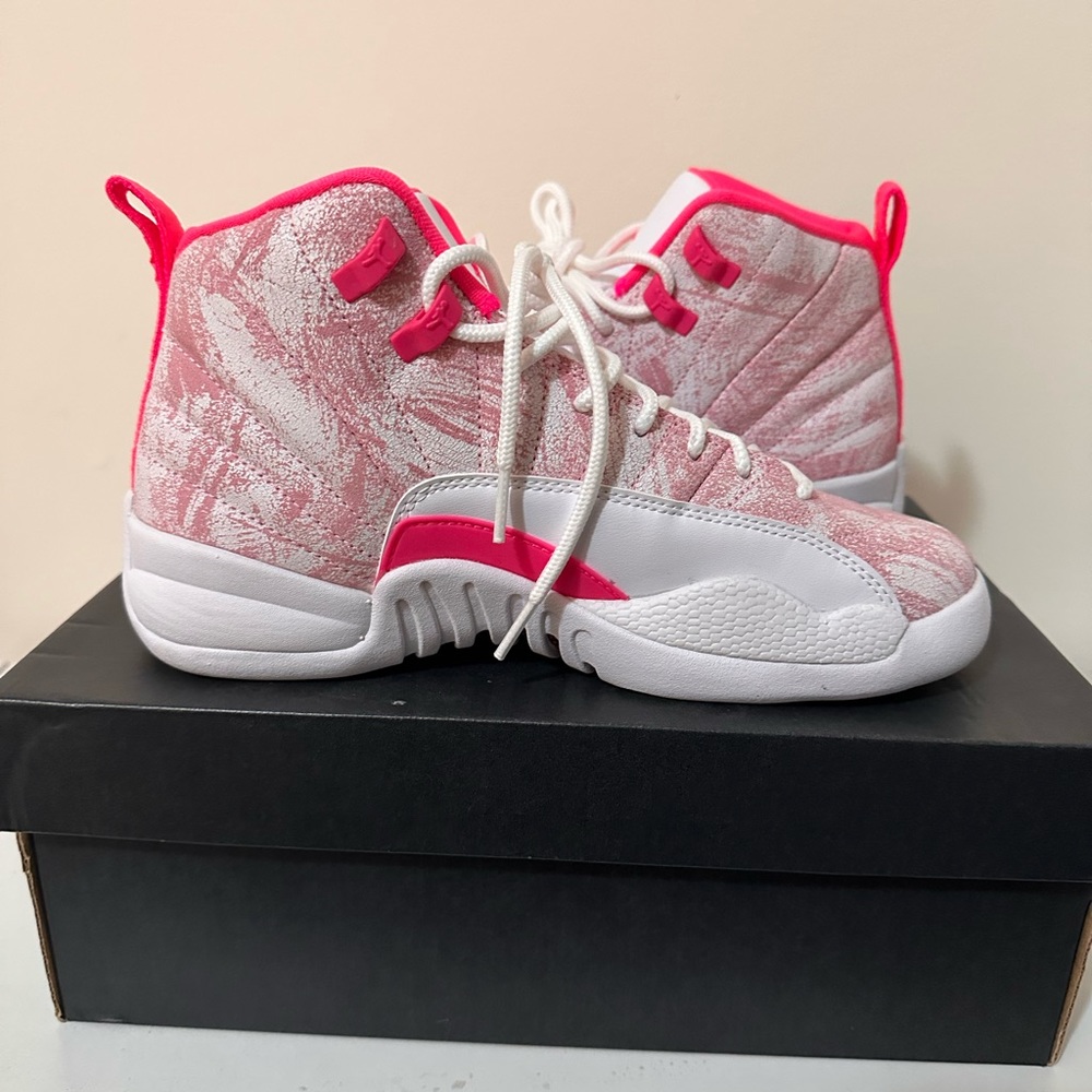 Air Jordan retro 12s
